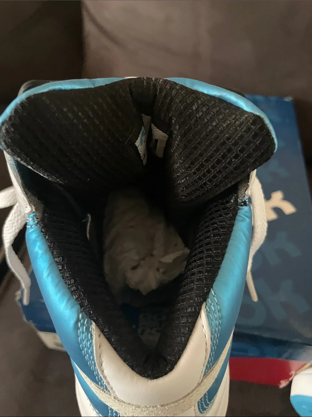 Reebok Men’s White Black Blue High-Top Sneakers